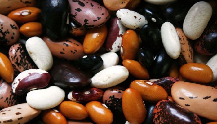 Governo manda recolher lotes de feijão impróprios para consumo